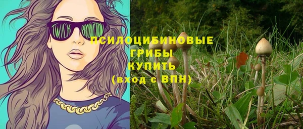 ПСИЛОЦИБИНОВЫЕ ГРИБЫ Навашино