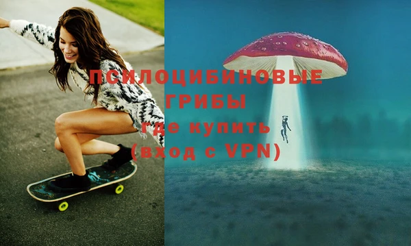 ПСИЛОЦИБИНОВЫЕ ГРИБЫ Навашино