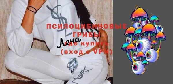 ПСИЛОЦИБИНОВЫЕ ГРИБЫ Навашино